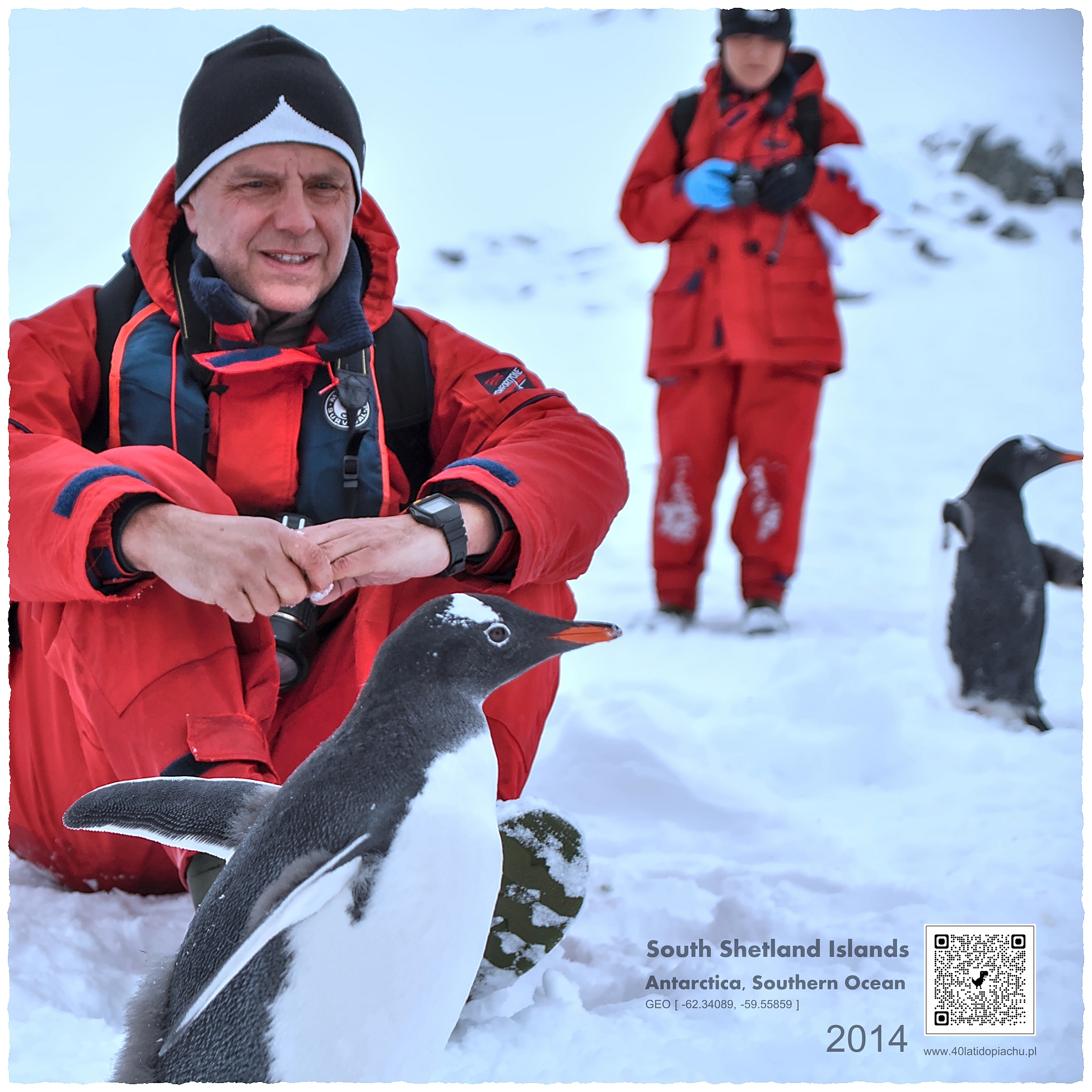 Antarktyda - spotkanie z pingwinem