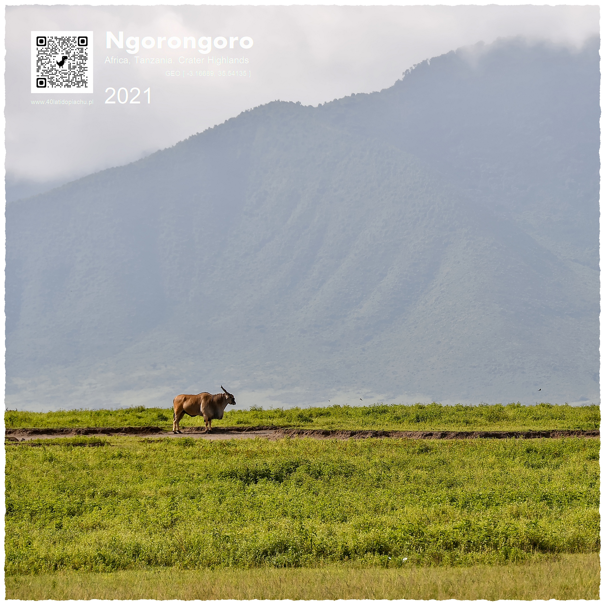 Tanzania UNESCO Park Ngorongoro