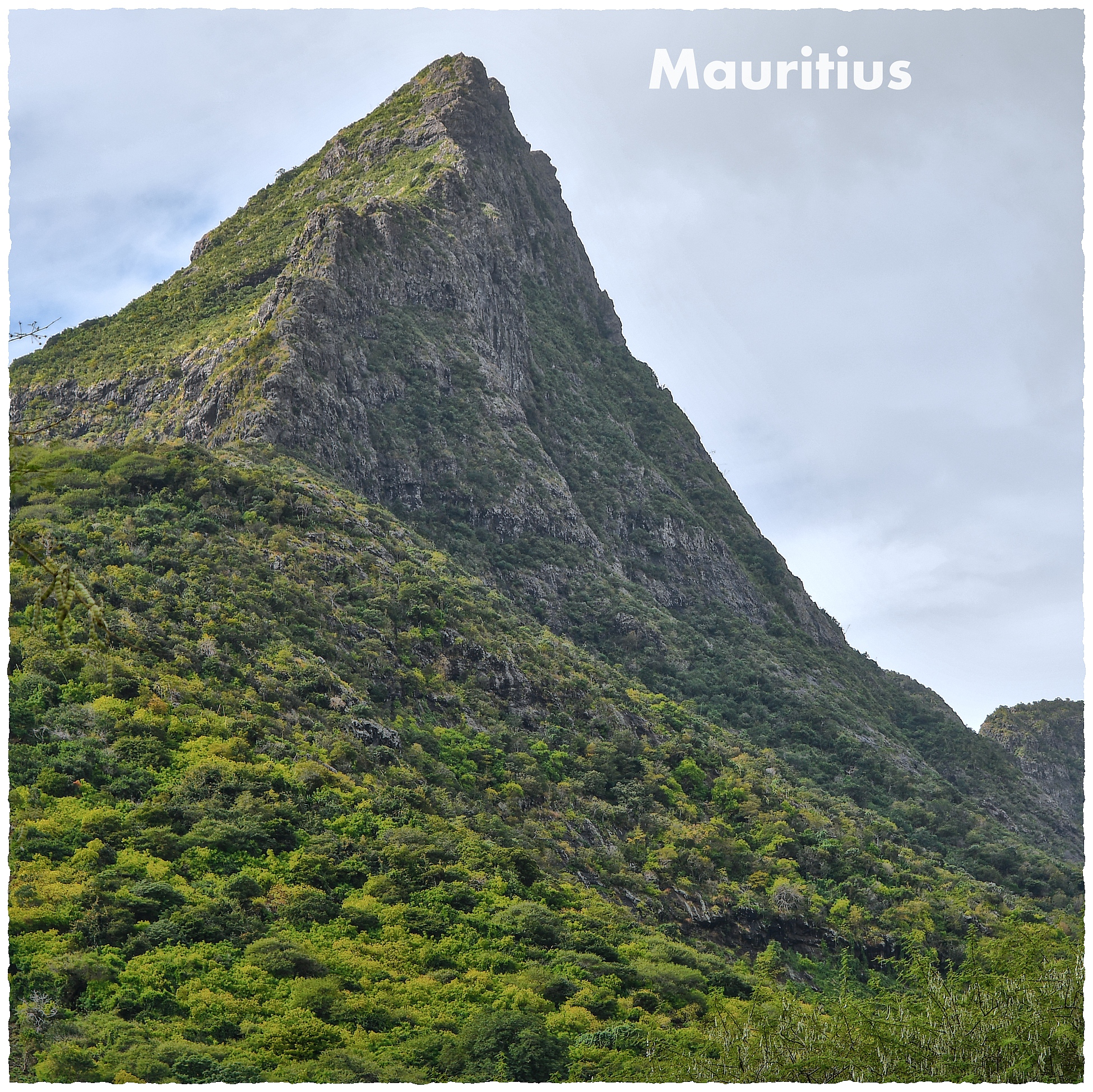 Mauritius - dżungla i góry