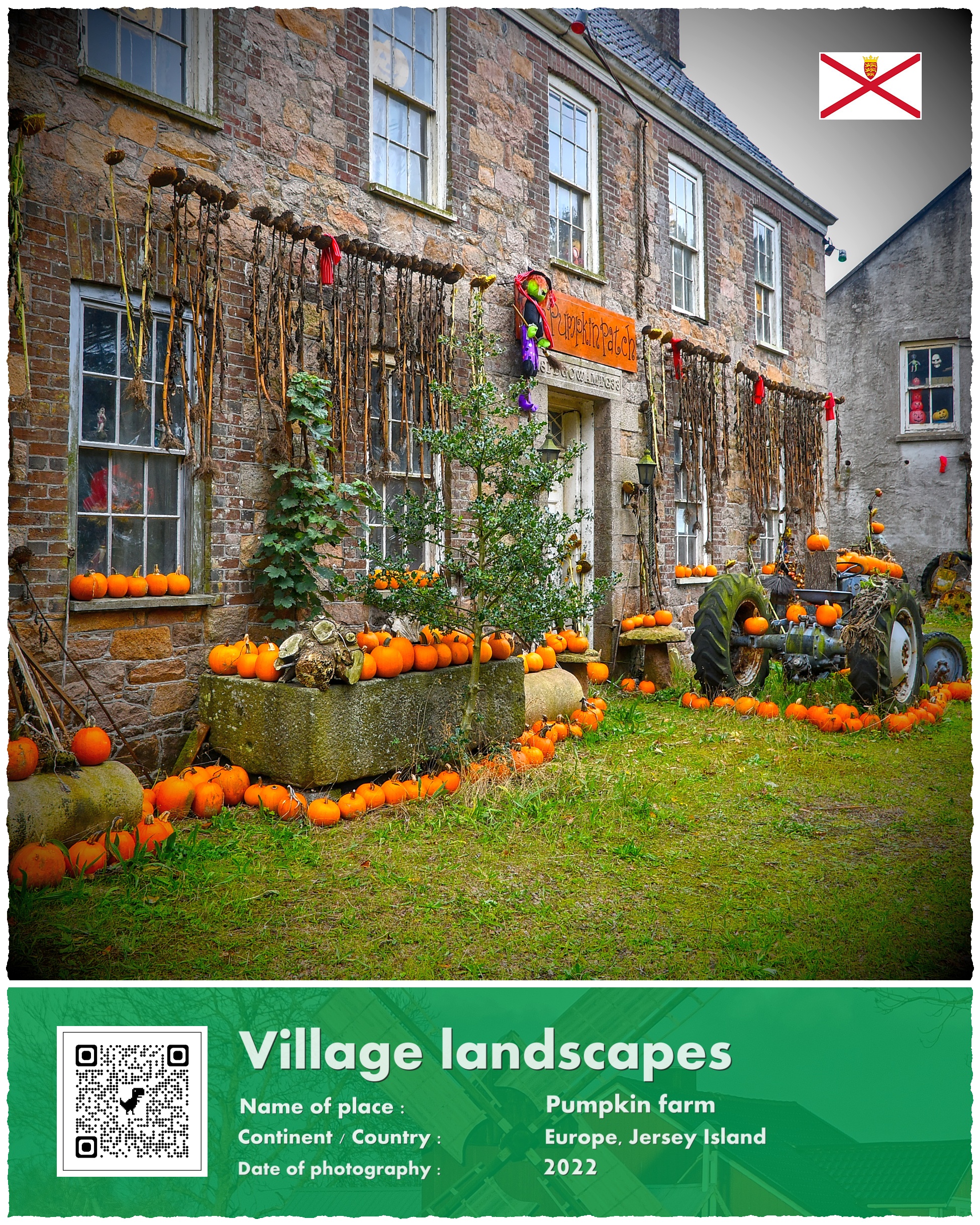 Wyspa Jersey, dyniowa farma