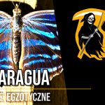 Farma egzotycznych motyli