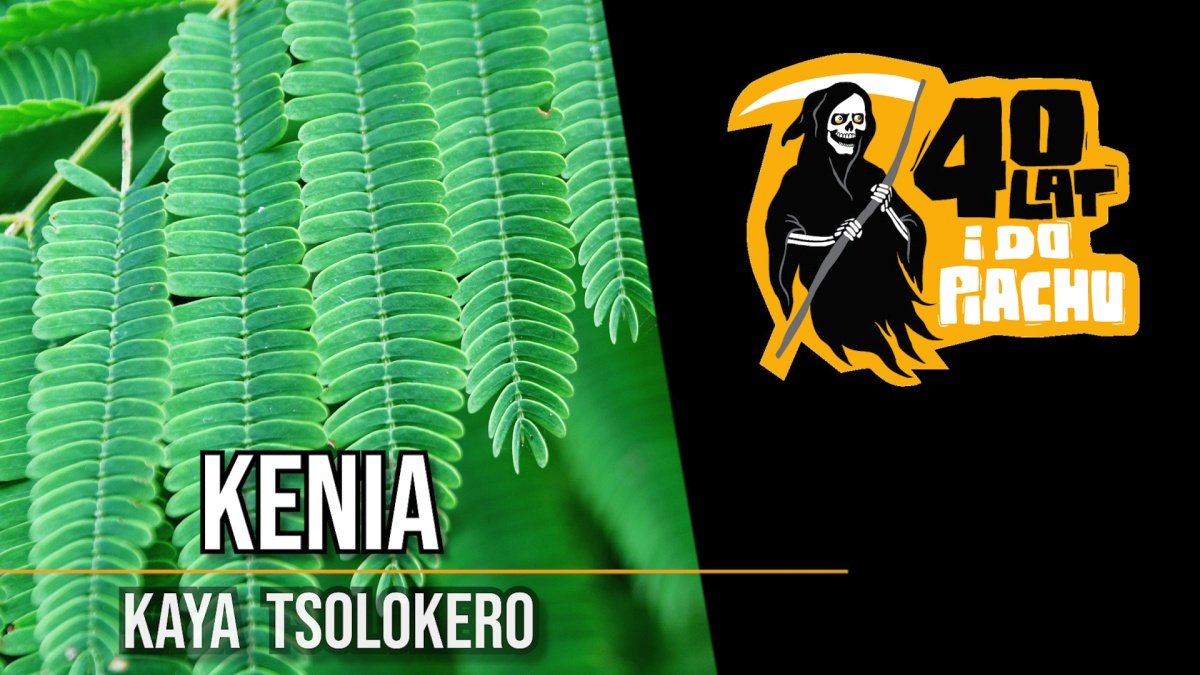 Święty Las Kaya Tsolokero